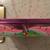 Vintage Lisa Frank Collectible Tin 5 thumbnail