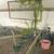 1200sqft Solar greenhouse, Heated, Rainwater catchment & pump 11 thumbnail