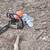 Free Estimates in NVA & MD Tree cutting, branches, Stump Grinding 3 thumbnail