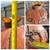 5FT Multi-Panel Amber Stained Glass Tiffany Style Lotus Gilt Bronze Table Lamp 8 thumbnail