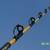 fishing rod for sale 3 thumbnail