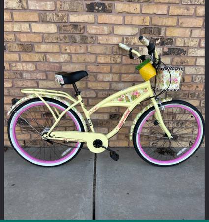 Two Pineapple Cruiser Bikes 1