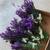 Lavender flower. Decorate or use tea, make soap, gift... 4 thumbnail