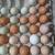 Huevos frescos leche de chiva fresca Huevo fertile / farm fresh eggs Fresh goat 1 thumbnail