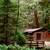 CHARMING CABIN IN GORGEOUS NATURAL SETTING IN NICASIO 1 thumbnail