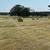 Hay 4x5 round bales 4 thumbnail