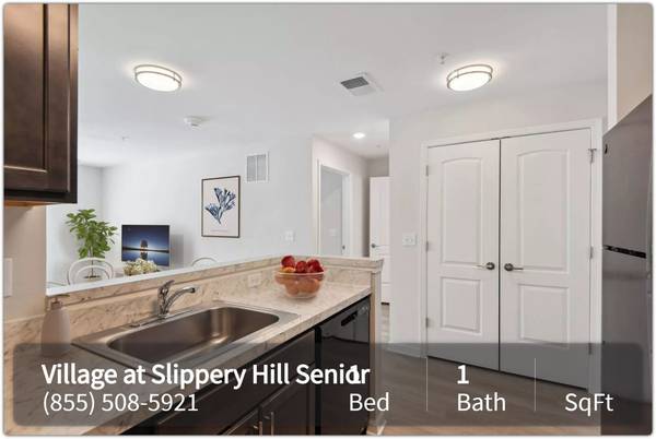 $585 / 1br - Make memories, create moments: Check out our 1 BR. (Queenstown - Terrapin Nature Park)63839297618945121