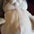 Shinada global cat plush mochineko 2 thumbnail