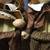 PAIR OF PRIMA CREATIONS THANKSGIVING PILGRIM DOLLS BOY GIRL 28" 9 thumbnail