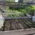 Raised Planter Bins  (7) w/ sturdy stands 2 thumbnail