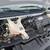 2021 Chevrolet Express 2500 Work Van 4.3L V6 23 thumbnail