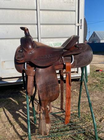 16” Circle Y Roper 1