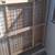 North States Baby 50" Extra Wide 31" Extra Tall Wire Mesh Wood Petgate 9 thumbnail