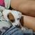 Jack Russell pups 4 thumbnail