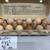 Chicken and Duck Eggs 1 thumbnail