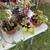 Succulents and House Plants 4 thumbnail