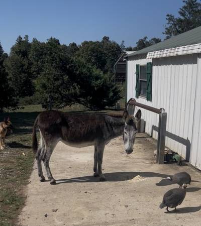 Jenny u will love! 1