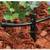 Rain Bird Hose End Drip Irrigation Spot Watering Kit 8 thumbnail