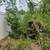 Buddy Boys property maintenance 1 thumbnail