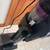 Eureka Cordless Vacuum Cleaner Lightweight, Stick Vacuum Rechargeable 12 thumbnail
