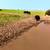 Versatile Cascade County Contiguous Acreage 20 thumbnail