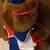 Vintage Hersheypark Plush Set - Nanco Pig (1998) & Bear (1999) 3 thumbnail