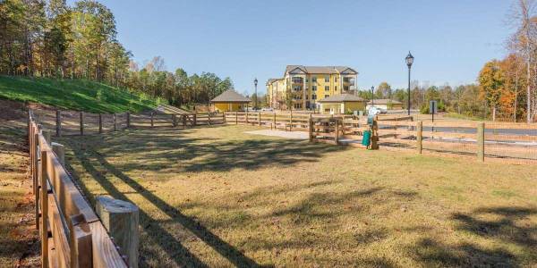 $1,710 / 2br - 1145ft2 - WE LOVE OUR PETS!! Great Community for Animal-Lovers! (Charlotte)63925334223107122
