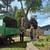 Tree removal service  and landscaping 9 thumbnail