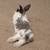 Young bunny for rehome 2 thumbnail
