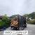 🟢🟢🚚  🌿   Stump Removal ● Hauling ● Yard Clean-up . ☎️Call or 9 thumbnail