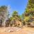 Garbage Disposal, Walking Path To Northern Arizona University Campus 6 thumbnail