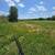 Need pasture baled 2 thumbnail