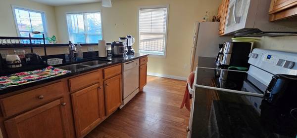 1 50 Barrett St #3 - AVAILABLE JUNE 1st, 2026 1