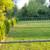 Bush trimming, Mulch, Planting, Weeding,Retaining walls, 12 thumbnail