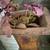 African decor . 5 thumbnail