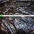 Cradle Of Filth Signature Autograph Used 2022 Drumstick DRUM STICK 5 thumbnail