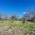 Secluded 3-Bed Home on 4.75 Acres: Greenhouse, Barn, Income Potential! 8 thumbnail