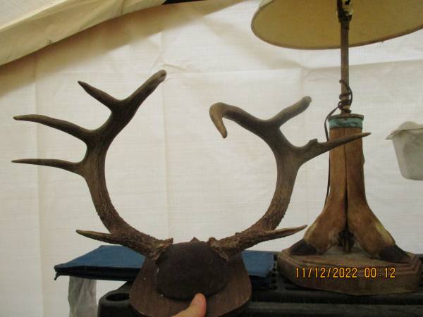 Buck Rack & leg lamp 1