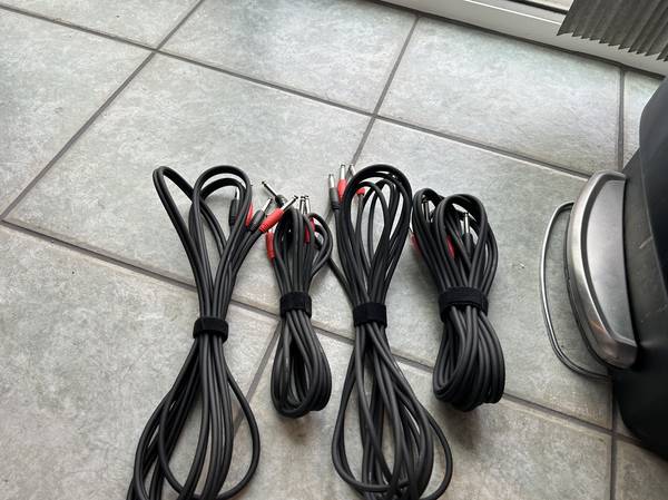 Pig Hog Dual TS cables 1