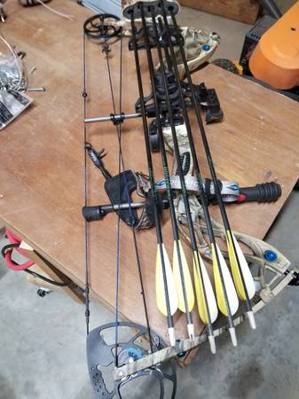 Compound bow 1