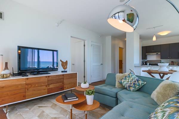 $3,500 / 2br - 1100ft2 - Beautiful 2 bed with washer/dryer, plank floors, stainless appliances (Loop/New East Side)63899122658819121