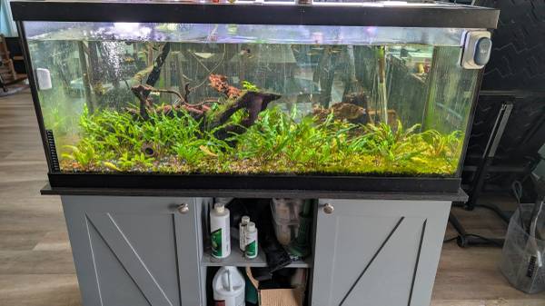 75 g aquarium and stand + fish 1