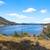 Lakeview lot! 1 thumbnail