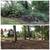 Land Clearing, Tree Services, Wild Fire Prevention, Road Maintenance! 16 thumbnail