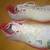 Wilson Womens Rush Pro Hardcourt Tennis Shoes 10.5 US - Used 1 game 9 thumbnail