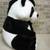 Giant Panda 2 thumbnail