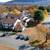 Washer/Dryer in your apartment, Clubhouse, Nearby Hiking Trails 6 thumbnail