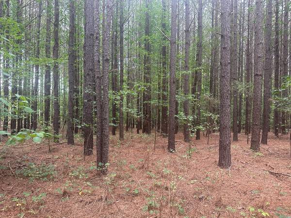 $63,900 10 Acres in Nathalie, VA (Hunting Creek Road)63851969194627122