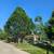 TREE SERVICES & LAWN CARE 20 thumbnail