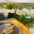 Axolotls for sale - Glow in the Dark Golden and Pink Albino 5 thumbnail
